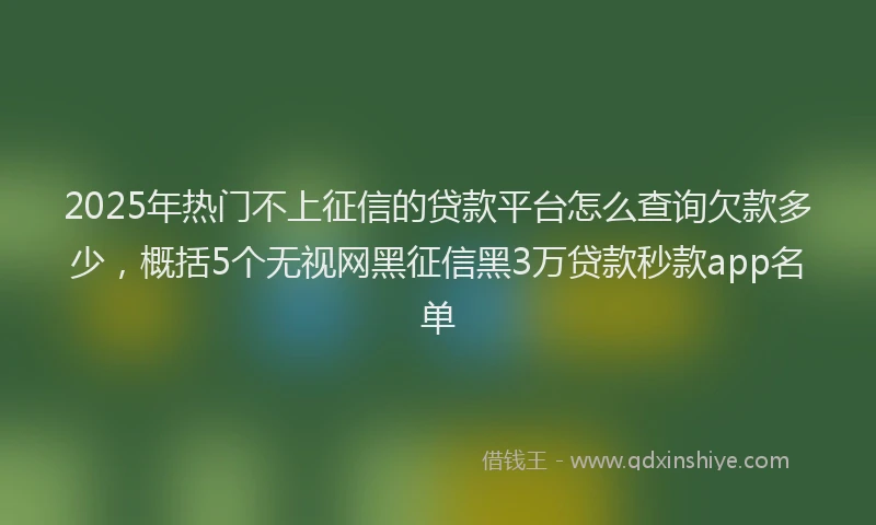 2025年热门不上征信的贷款平台怎么查询欠款多少，概括5个无视网黑征信黑3万贷款秒款app名单