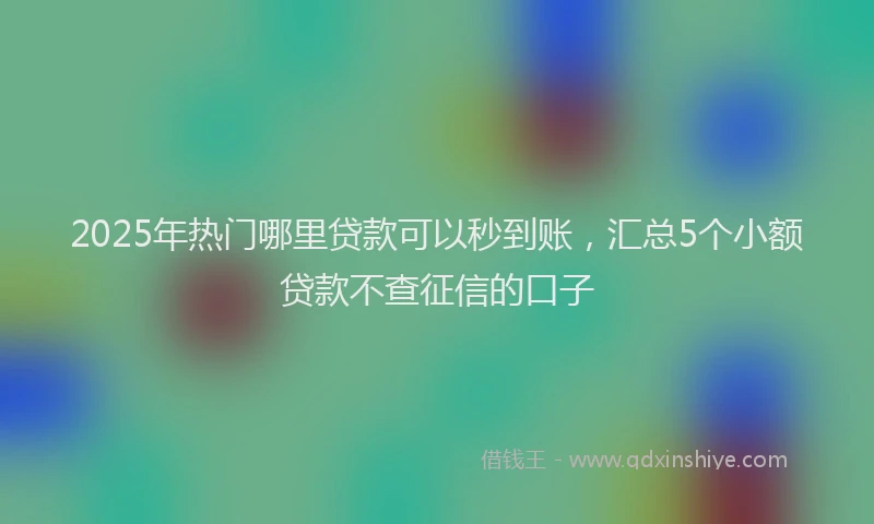 2025年热门哪里贷款可以秒到账，汇总5个小额贷款不查征信的口子