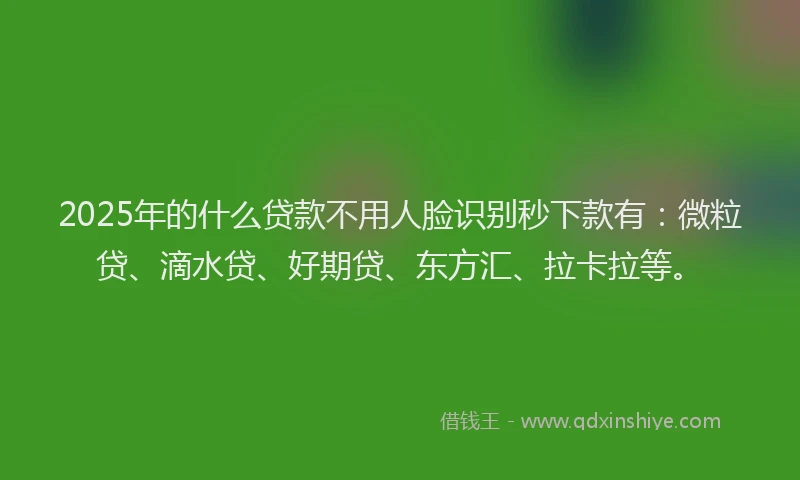 2025年的什么贷款不用人脸识别秒下款有：微粒贷、滴水贷、好期贷、东方汇、拉卡拉等。