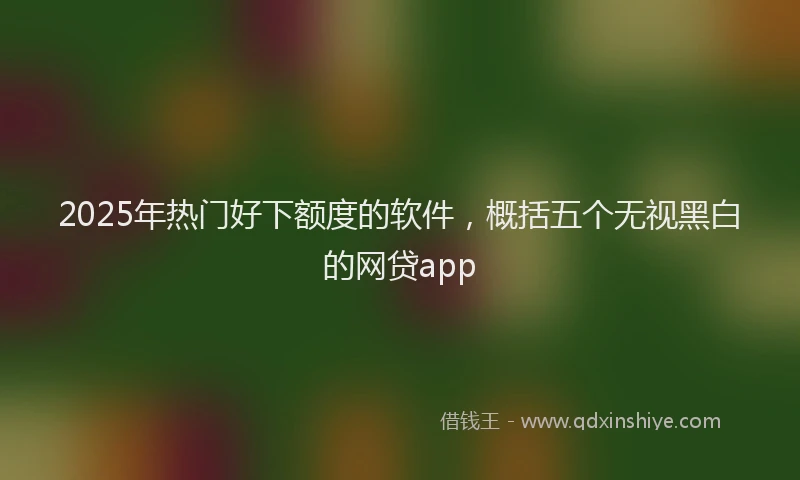 2025年热门好下额度的软件，概括五个无视黑白的网贷app