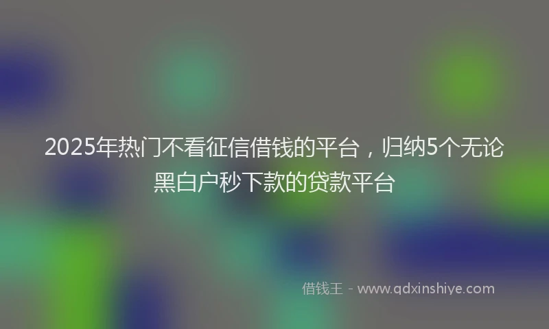 2025年热门不看征信借钱的平台，归纳5个无论黑白户秒下款的贷款平台