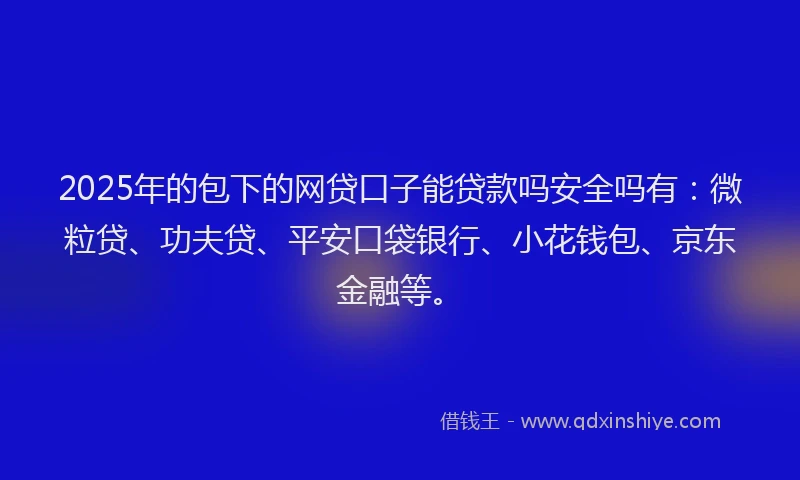 2025年的包下的网贷口子能贷款吗安全吗有：微粒贷、功夫贷、平安口袋银行、小花钱包、京东金融等。