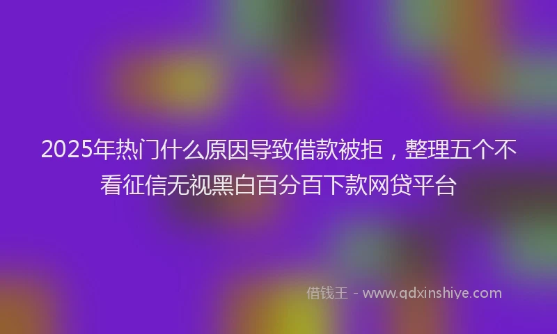2025年热门什么原因导致借款被拒，整理五个不看征信无视黑白百分百下款网贷平台