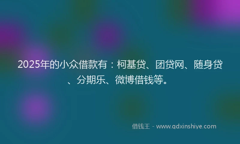 2025年的小众借款有：柯基贷、团贷网、随身贷、分期乐、微博借钱等。