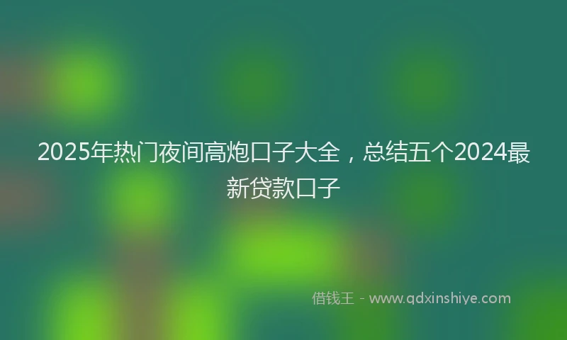 2025年热门夜间高炮口子大全，总结五个2024最新贷款口子