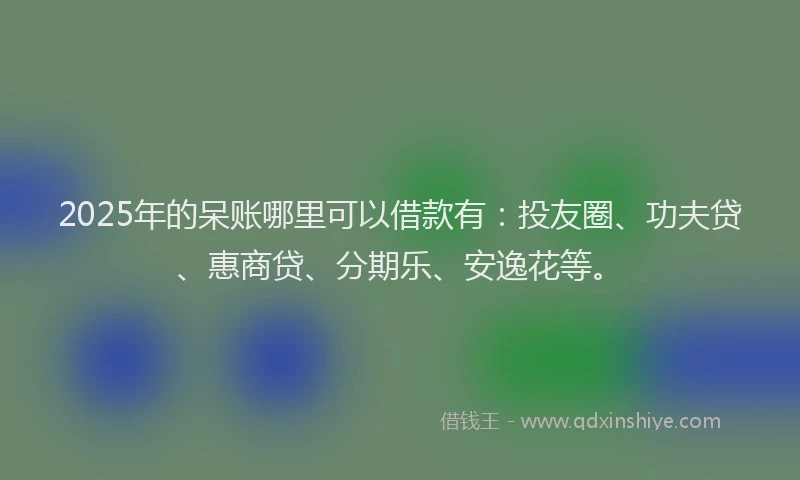 2025年的呆账哪里可以借款有：投友圈、功夫贷、惠商贷、分期乐、安逸花等。