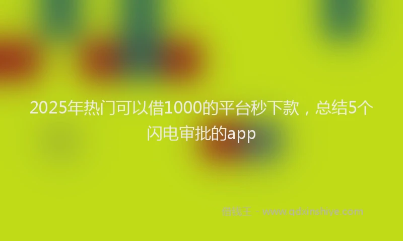 2025年热门可以借1000的平台秒下款，总结5个闪电审批的app