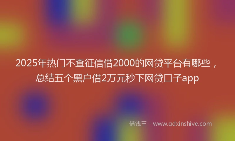 2025年热门不查征信借2000的网贷平台有哪些，总结五个黑户借2万元秒下网贷口子app