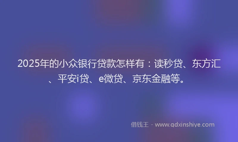 2025年的小众银行贷款怎样有：读秒贷、东方汇、平安i贷、e微贷、京东金融等。