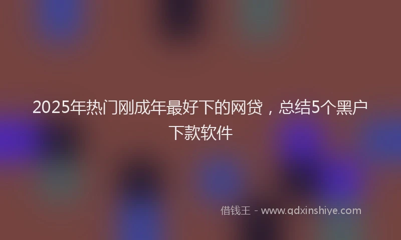 2025年热门刚成年最好下的网贷，总结5个黑户下款软件