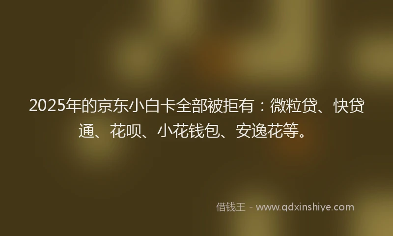 2025年的京东小白卡全部被拒有：微粒贷、快贷通、花呗、小花钱包、安逸花等。