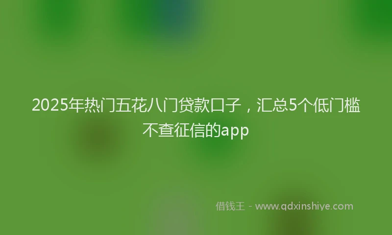 2025年热门五花八门贷款口子，汇总5个低门槛不查征信的app