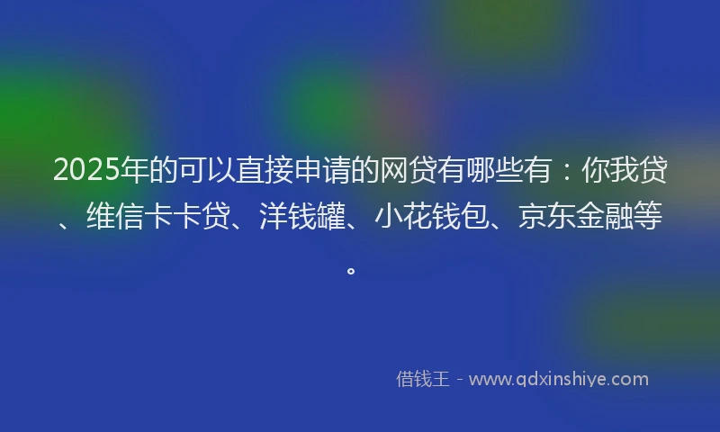 2025年的可以直接申请的网贷有哪些有：你我贷、维信卡卡贷、洋钱罐、小花钱包、京东金融等。