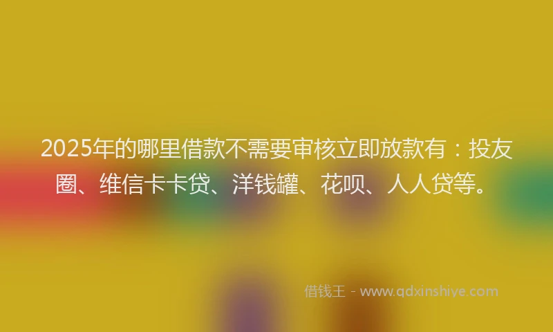 2025年的哪里借款不需要审核立即放款有：投友圈、维信卡卡贷、洋钱罐、花呗、人人贷等。