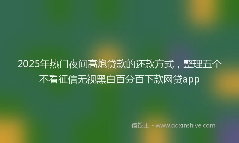 2025年热门夜间高炮贷款的还款方式，整理五个不看征信无视黑白百分百下款网贷app