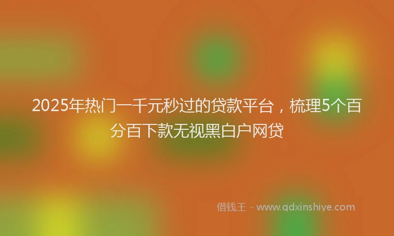 2025年热门一千元秒过的贷款平台，梳理5个百分百下款无视黑白户网贷