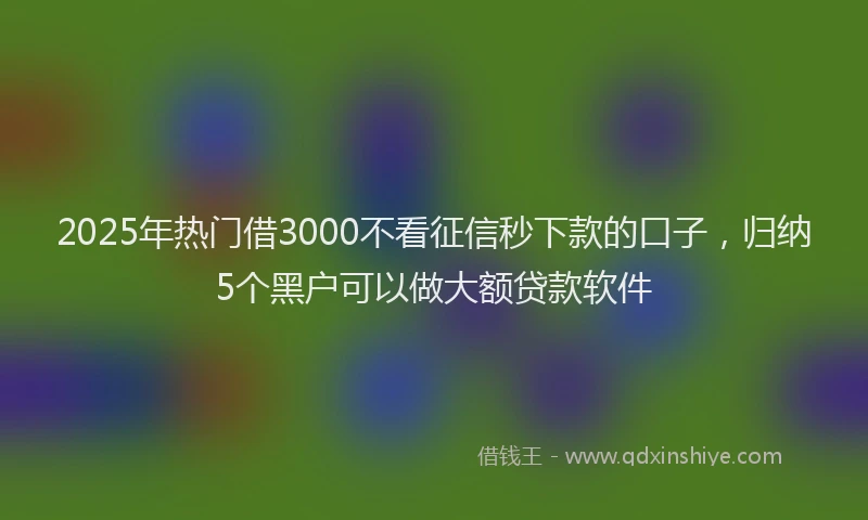2025年热门借3000不看征信秒下款的口子，归纳5个黑户可以做大额贷款软件
