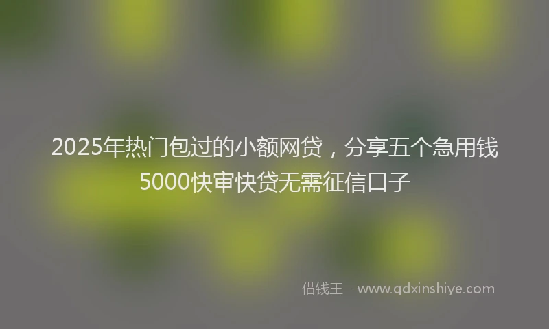 2025年热门包过的小额网贷，分享五个急用钱5000快审快贷无需征信口子
