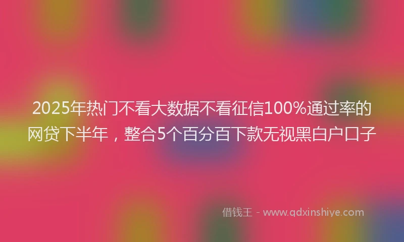 2025年热门不看大数据不看征信100%通过率的网贷下半年，整合5个百分百下款无视黑白户口子