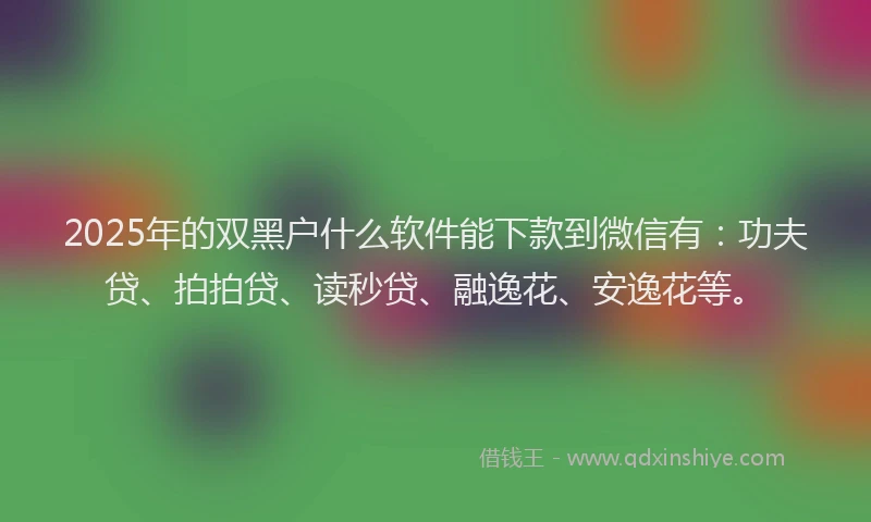 2025年的双黑户什么软件能下款到微信有：功夫贷、拍拍贷、读秒贷、融逸花、安逸花等。
