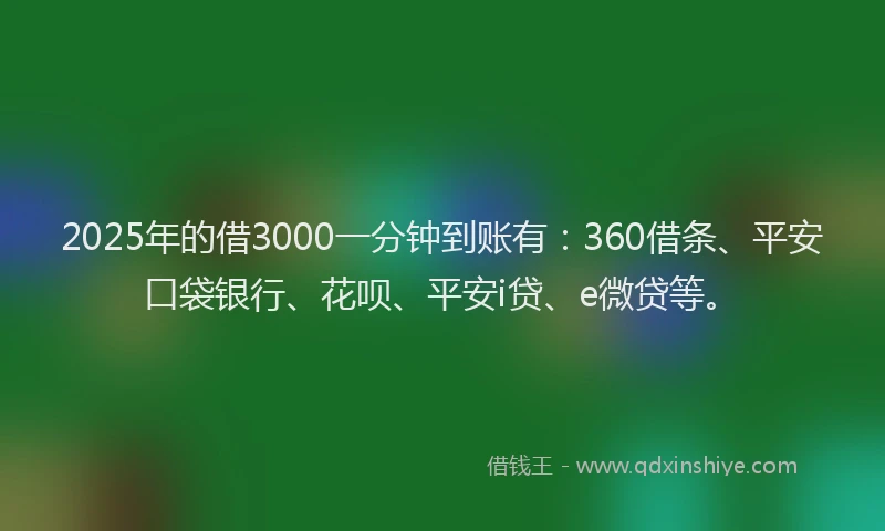 2025年的借3000一分钟到账有：360借条、平安口袋银行、花呗、平安i贷、e微贷等。