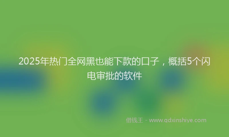 2025年热门全网黑也能下款的口子，概括5个闪电审批的软件