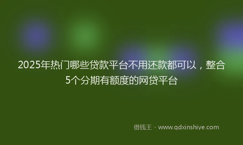 2025年热门哪些贷款平台不用还款都可以，整合5个分期有额度的网贷平台
