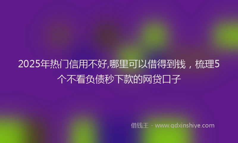 2025年热门信用不好,哪里可以借得到钱，梳理5个不看负债秒下款的网贷口子