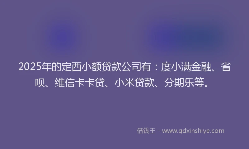 2025年的定西小额贷款公司有：度小满金融、省呗、维信卡卡贷、小米贷款、分期乐等。