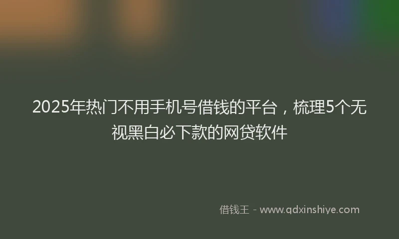 2025年热门不用手机号借钱的平台，梳理5个无视黑白必下款的网贷软件