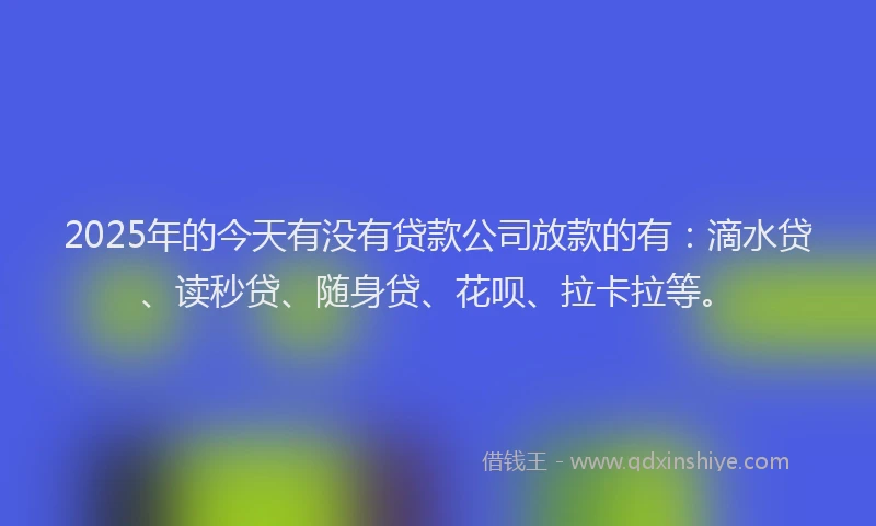 2025年的今天有没有贷款公司放款的有：滴水贷、读秒贷、随身贷、花呗、拉卡拉等。