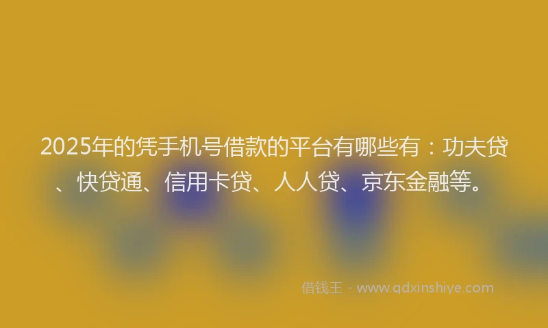 2025年的凭手机号借款的平台有哪些有：功夫贷、快贷通、信用卡贷、人人贷、京东金融等。