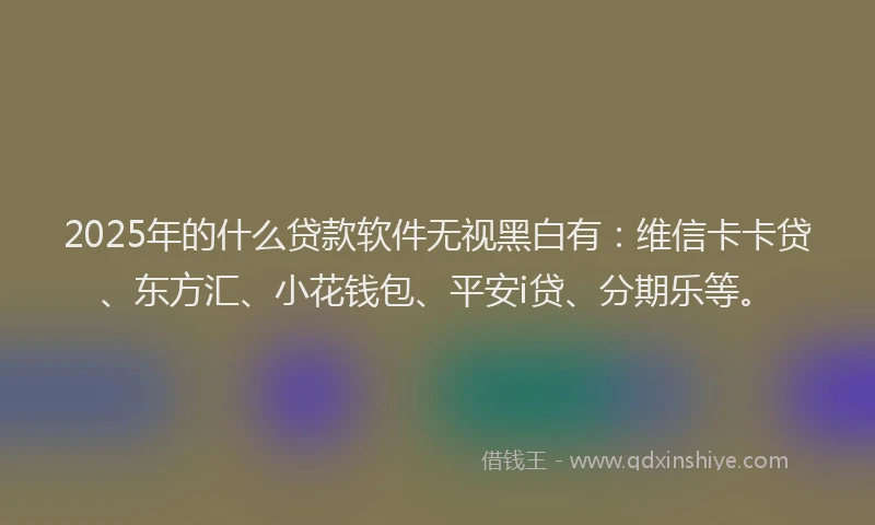 2025年的什么贷款软件无视黑白有：维信卡卡贷、东方汇、小花钱包、平安i贷、分期乐等。