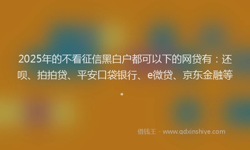 2025年的不看征信黑白户都可以下的网贷有：还呗、拍拍贷、平安口袋银行、e微贷、京东金融等。