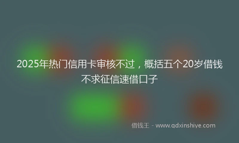 2025年热门信用卡审核不过，概括五个20岁借钱不求征信速借口子