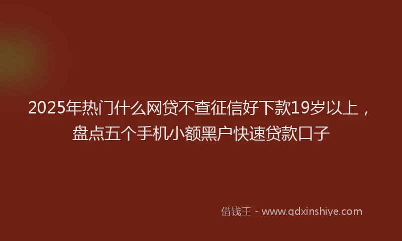 2025年热门什么网贷不查征信好下款19岁以上，盘点五个手机小额黑户快速贷款口子