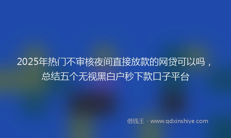 2025年热门不审核夜间直接放款的网贷可以吗，总结五个无视黑白户秒下款口子平台