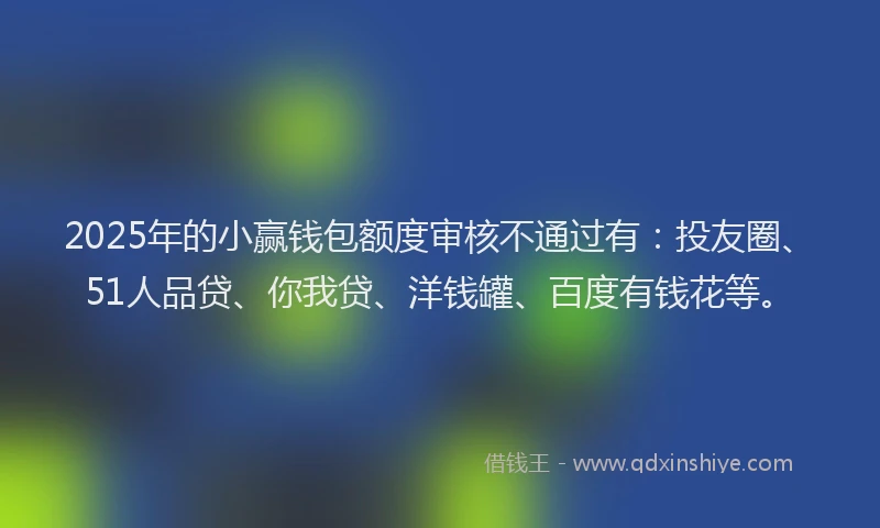 2025年的小赢钱包额度审核不通过有：投友圈、51人品贷、你我贷、洋钱罐、百度有钱花等。