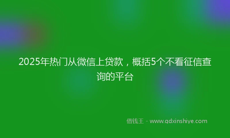 2025年热门从微信上贷款，概括5个不看征信查询的平台