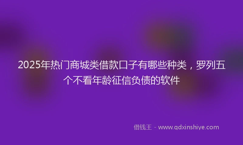 2025年热门商城类借款口子有哪些种类，罗列五个不看年龄征信负债的软件