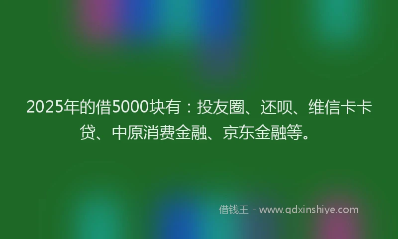 2025年的借5000块有：投友圈、还呗、维信卡卡贷、中原消费金融、京东金融等。