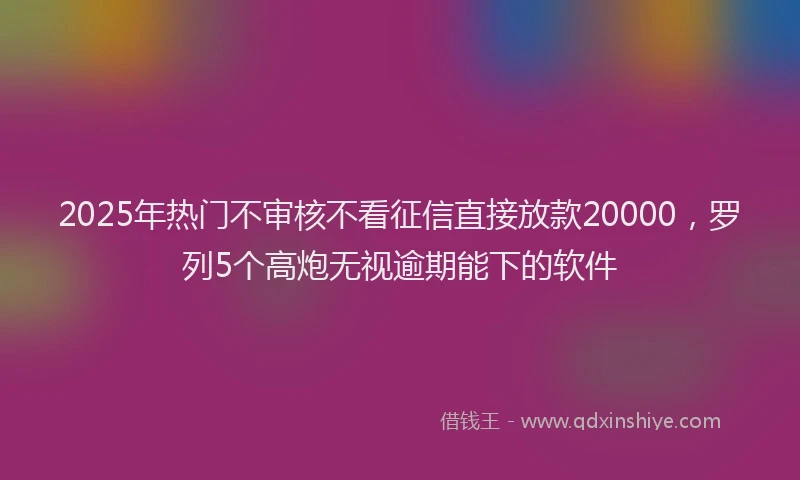 2025年热门不审核不看征信直接放款20000，罗列5个高炮无视逾期能下的软件