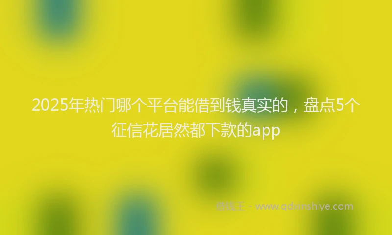 2025年热门哪个平台能借到钱真实的，盘点5个征信花居然都下款的app