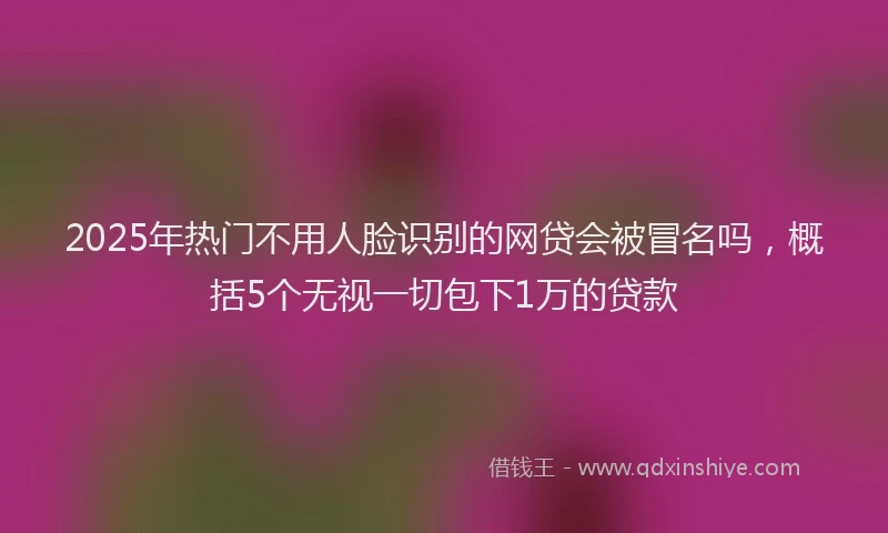 2025年热门不用人脸识别的网贷会被冒名吗，概括5个无视一切包下1万的贷款