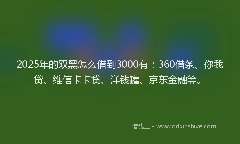2025年的双黑怎么借到3000有：360借条、你我贷、维信卡卡贷、洋钱罐、京东金融等。