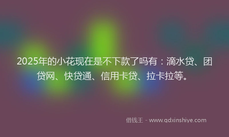 2025年的小花现在是不下款了吗有：滴水贷、团贷网、快贷通、信用卡贷、拉卡拉等。