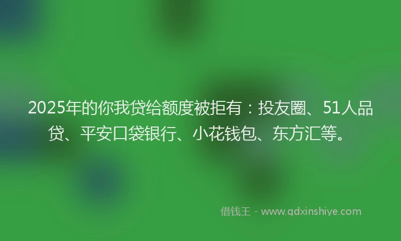 2025年的你我贷给额度被拒有：投友圈、51人品贷、平安口袋银行、小花钱包、东方汇等。