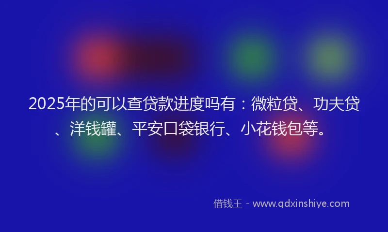 2025年的可以查贷款进度吗有：微粒贷、功夫贷、洋钱罐、平安口袋银行、小花钱包等。