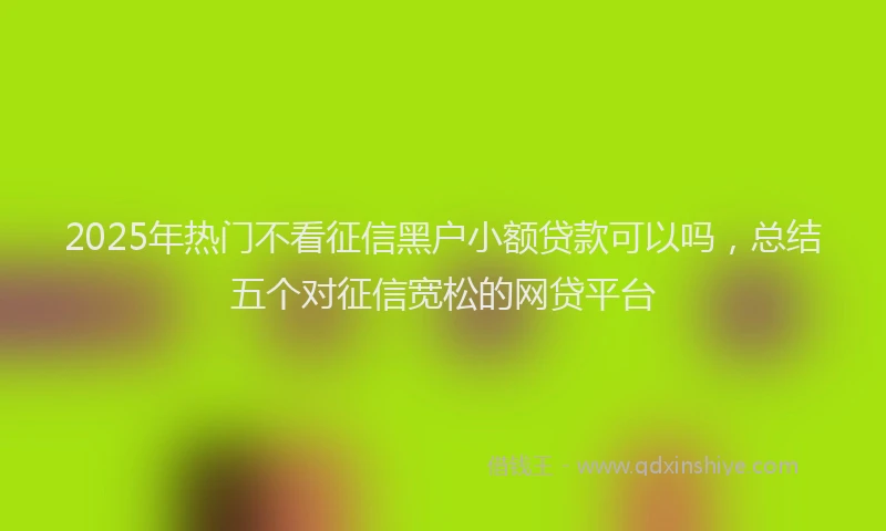 2025年热门不看征信黑户小额贷款可以吗，总结五个对征信宽松的网贷平台