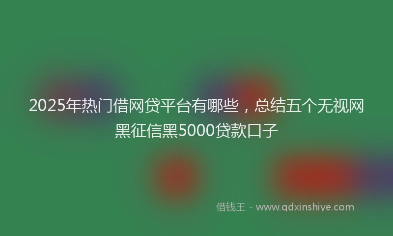 2025年热门借网贷平台有哪些，总结五个无视网黑征信黑5000贷款口子